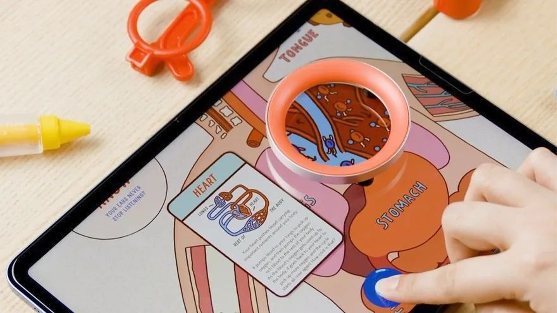 1690423557956024.jpg 11.jpg